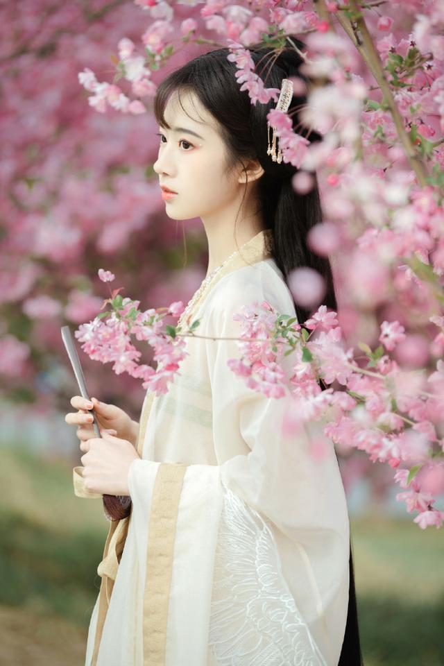 嫩草-视频研究所免费看